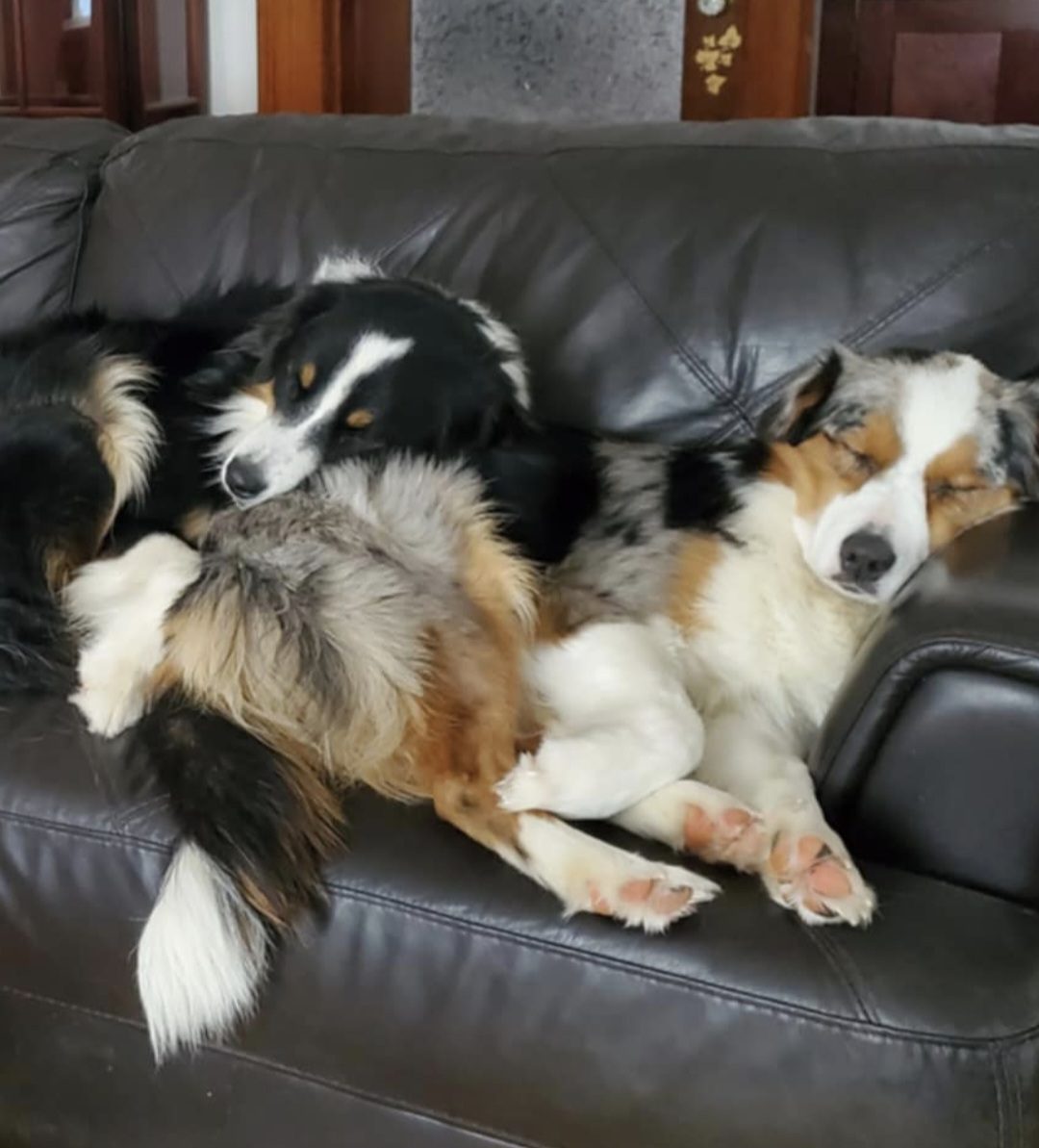 Screenshot_20250625_101743_Gallery