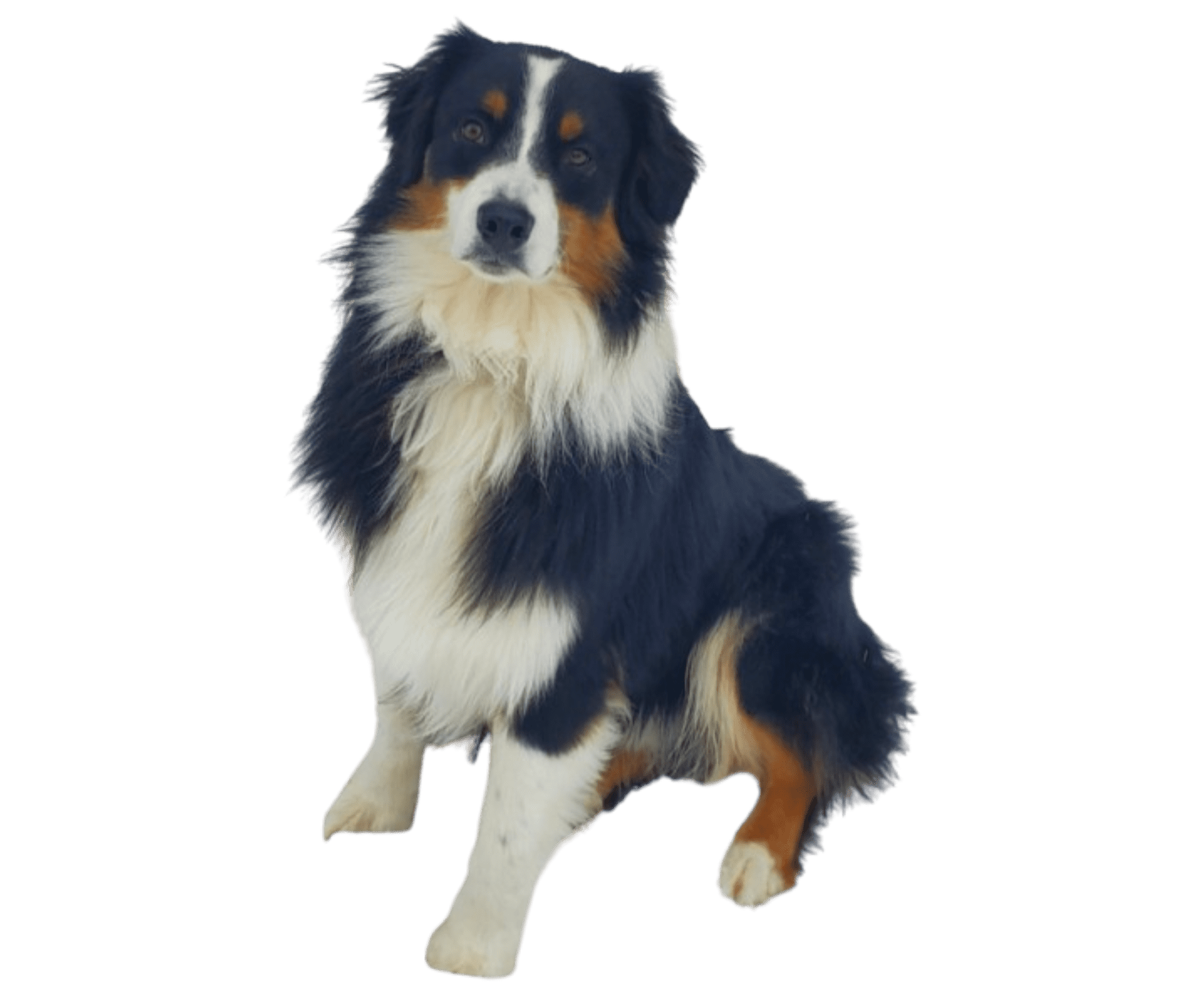 GettyImages-1929426912-1-1 (1)