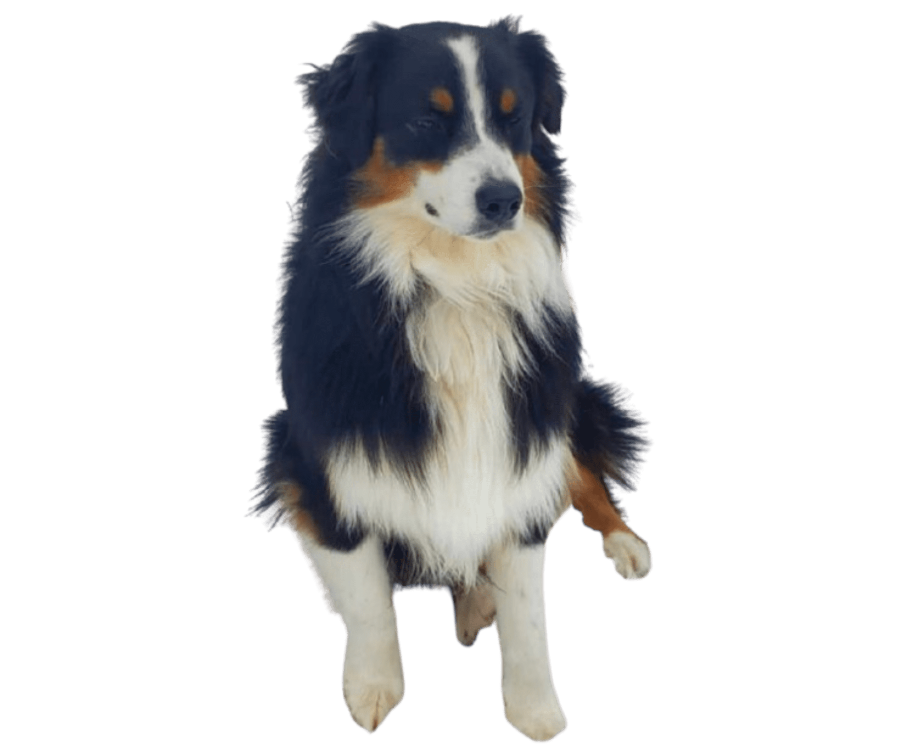 GettyImages-1929426912-2-1 (1)