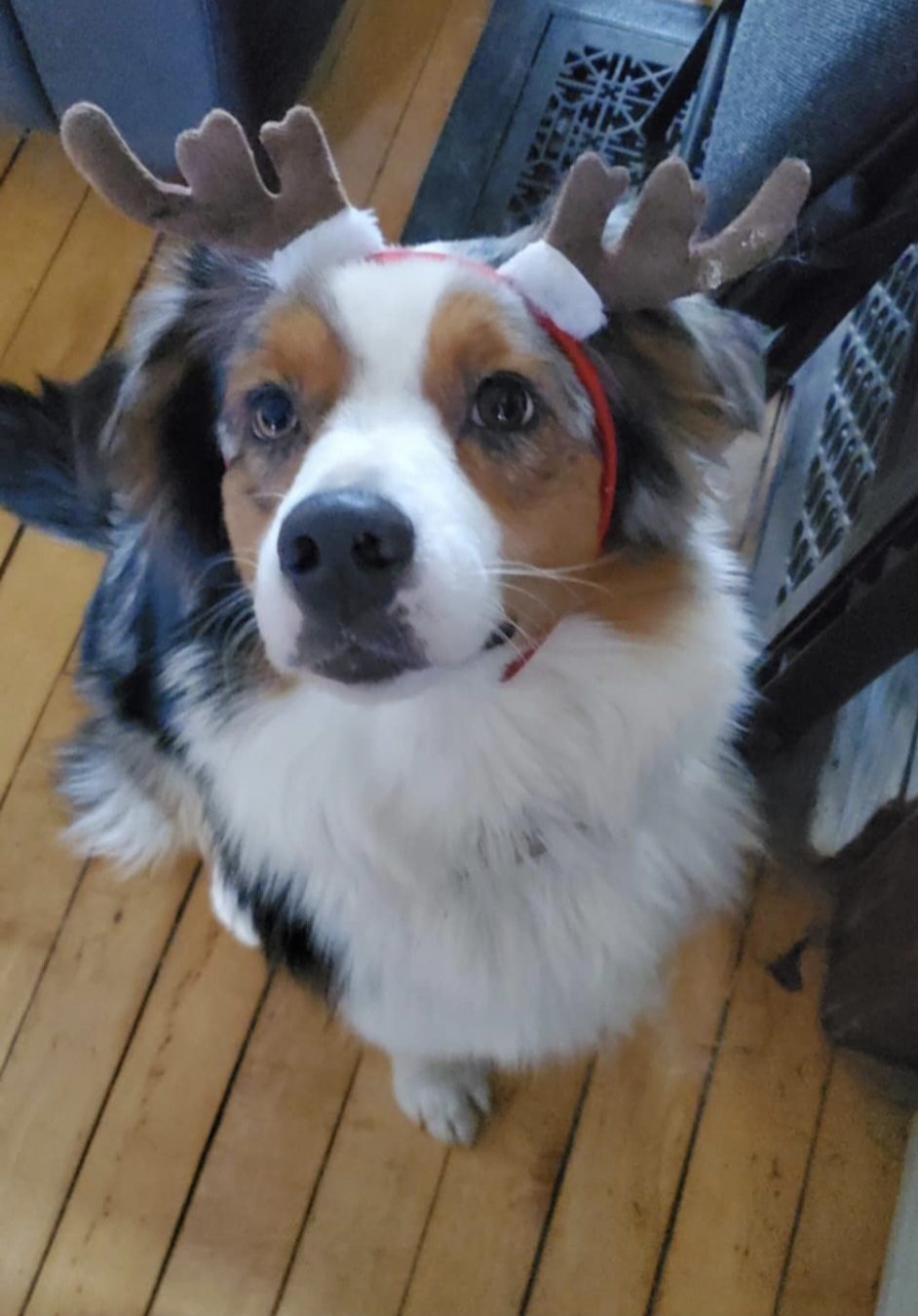 Screenshot_20250625_100945_Gallery