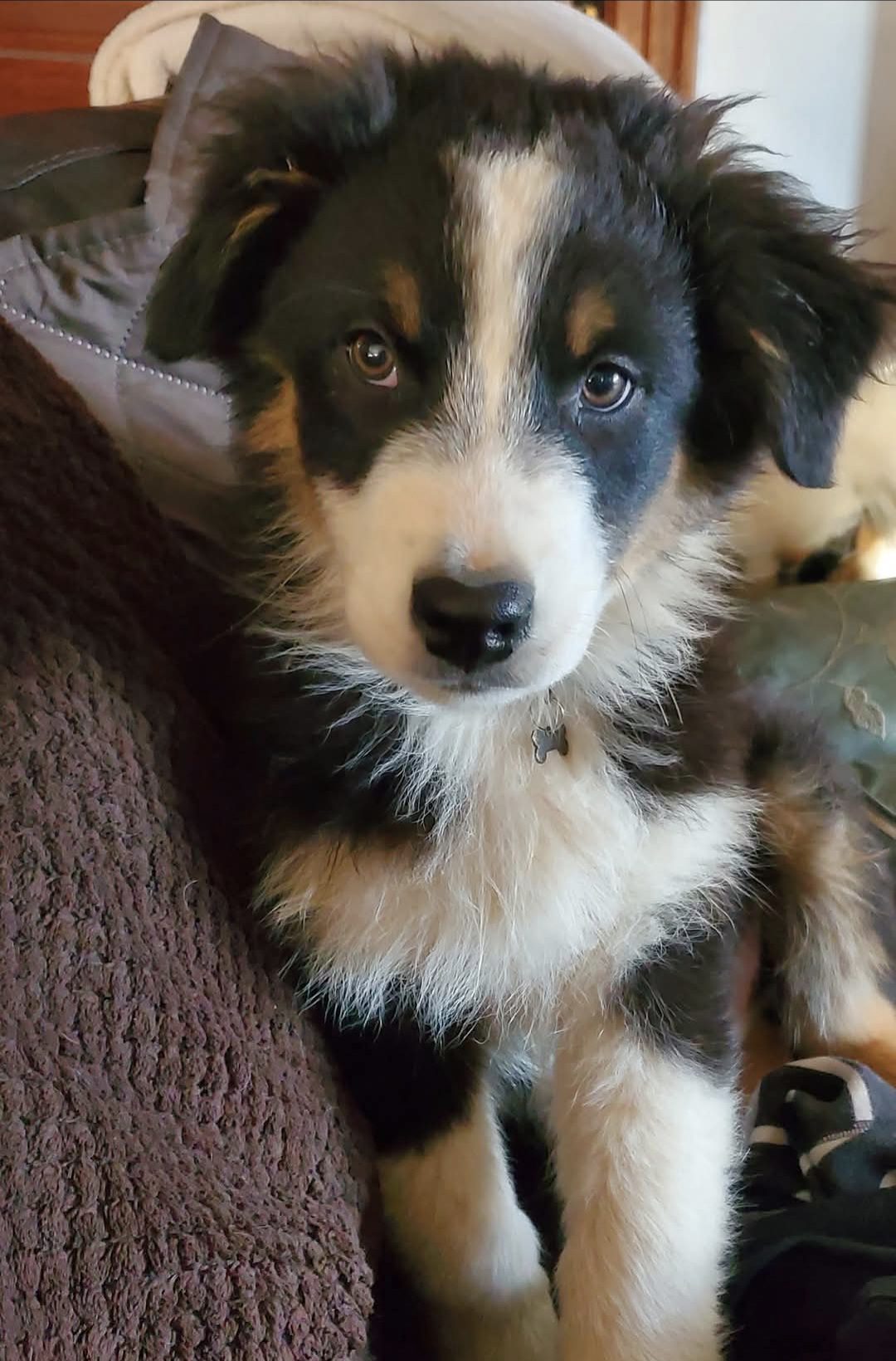 Screenshot_20250625_101144_Gallery