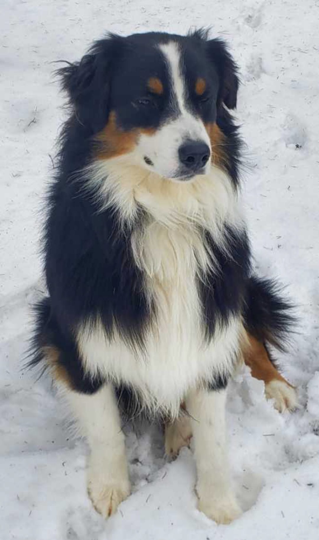 Screenshot_20250625_101416_Gallery