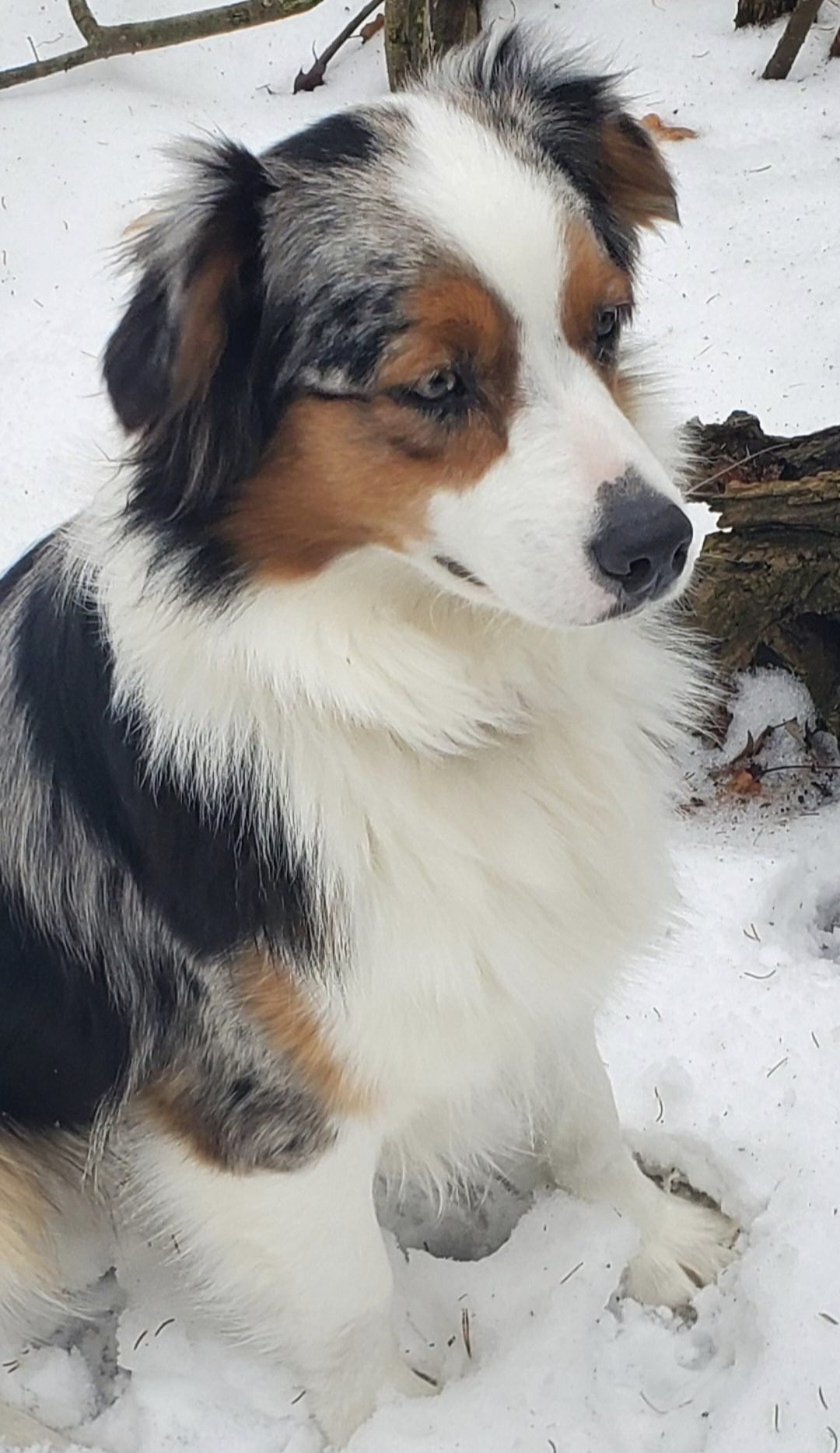 Screenshot_20250625_101613_Gallery