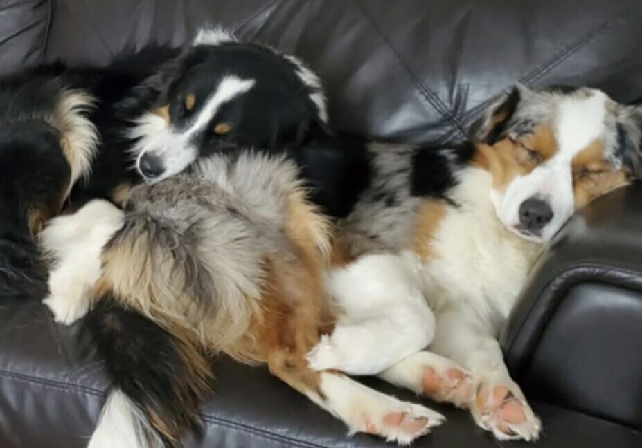 Screenshot_20250625_101743_Gallery